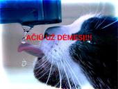 Vandens priemaišų dribsniavimas 11 puslapis