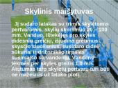 Vandens priemaišų dribsniavimas 3 puslapis