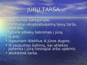 Vandens kokybė ir tarša 12 puslapis