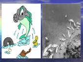 Vandens kokybė ir tarša 15 puslapis