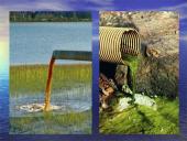 Vandens kokybė ir tarša 9 puslapis