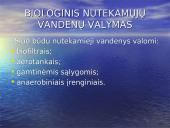 Vandens kokybė ir tarša 10 puslapis