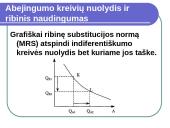 Žmogaus elgsena ir prekių paklausa 17 puslapis