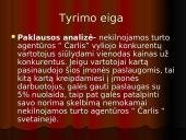 Vartotojų analizė: nekilnojamo turto agentūra "Čarlis" 12 puslapis