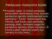 Vartotojų analizė: nekilnojamo turto agentūra "Čarlis" 13 puslapis