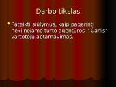 Vartotojų analizė: nekilnojamo turto agentūra "Čarlis" 3 puslapis