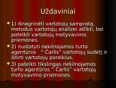 Vartotojų analizė: nekilnojamo turto agentūra "Čarlis" 4 puslapis