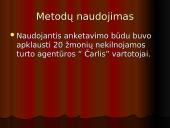 Vartotojų analizė: nekilnojamo turto agentūra "Čarlis" 6 puslapis