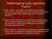 Vartotojų analizė: nekilnojamo turto agentūra "Čarlis" 8 puslapis