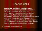 Vartotojų analizė: nekilnojamo turto agentūra "Čarlis" 9 puslapis