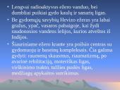 Vengrijos balneologiniai kurortai 14 puslapis