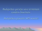 Vengrijos balneologiniai kurortai 7 puslapis