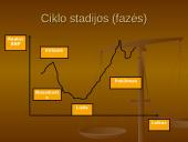 Verslo ciklai 13 puslapis