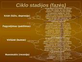 Verslo ciklai 14 puslapis