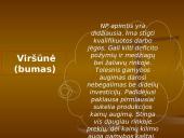 Verslo ciklai 17 puslapis