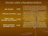 Verslo ciklai 5 puslapis