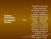 Verslo ciklai 10 puslapis