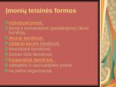 Verslo įmonės kūrimas 2 puslapis