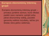 Verslo įmonės kūrimas 11 puslapis