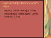 Verslo įmonės kūrimas 6 puslapis