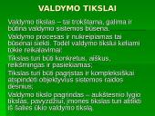Verslo kūrimas ir parinkimas 11 puslapis