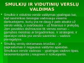 Verslo kūrimas ir parinkimas 12 puslapis