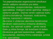 Verslo kūrimas ir parinkimas 13 puslapis