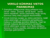 Verslo kūrimas ir parinkimas 6 puslapis