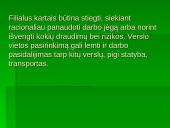 Verslo kūrimas ir parinkimas 7 puslapis