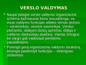 Verslo kūrimas ir parinkimas 10 puslapis