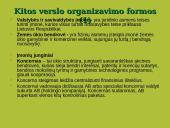 Verslo organizavimo formos 12 puslapis