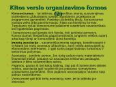 Verslo organizavimo formos 13 puslapis