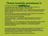 Verslo organizavimo formos 8 puslapis