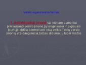 Verslo organizavimo formos rinkos sąlygomis 2 puslapis