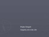 Verslo organizavimo formos rinkos sąlygomis 14 puslapis