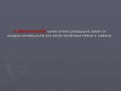 Verslo organizavimo formos rinkos sąlygomis 4 puslapis