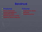 Verslo organizavimo formos rinkos sąlygomis 8 puslapis