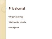 Verslo organizavimo formos rinkos ekonomikos sąlygomis 15 puslapis