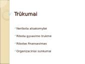 Verslo organizavimo formos rinkos ekonomikos sąlygomis 16 puslapis