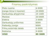 Verslo planas: Vasaros kino teatras 12 puslapis