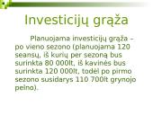 Verslo planas: Vasaros kino teatras 13 puslapis