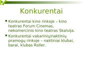 Verslo planas: Vasaros kino teatras 14 puslapis