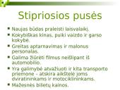 Verslo planas: Vasaros kino teatras 16 puslapis
