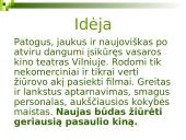 Verslo planas: Vasaros kino teatras 3 puslapis