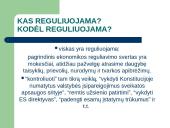 Verslo reguliavimas ir jo pasekmės 4 puslapis