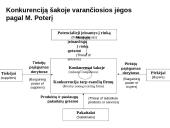 Verslo strateginis valdymas. Skaidrės 13 puslapis