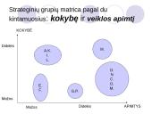 Verslo strateginis valdymas. Skaidrės 17 puslapis