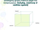 Verslo strateginis valdymas. Skaidrės 18 puslapis