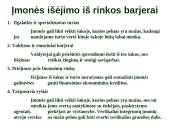 Verslo strateginis valdymas. Skaidrės 20 puslapis