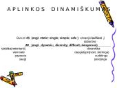 Verslo strateginis valdymas. Skaidrės 10 puslapis